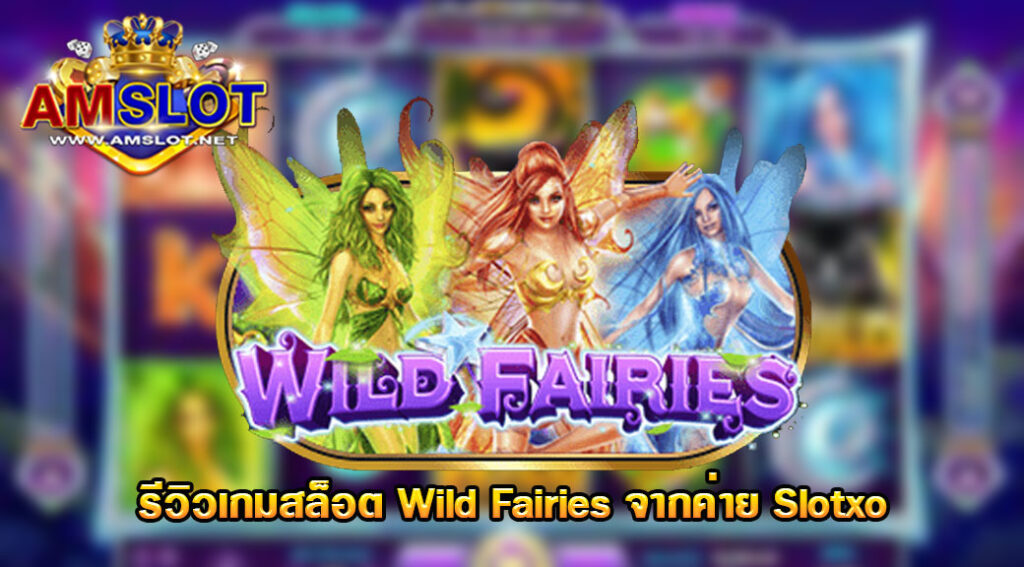 รีวิวเกม Wild Fairies ของค่าย Slotxo