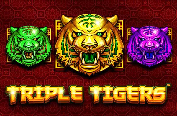 รีวิวเกม Triple Tigers - SlotXO