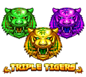 Triple Tigers รีวิวเกมสล็อตจากค่าย Slotxo - AMB888VIP