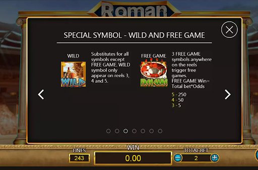 สัญลักษณ์พิเศษของเกมRoman