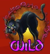 สัญลักษณ์ WILD