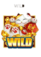 wild-coin-cat