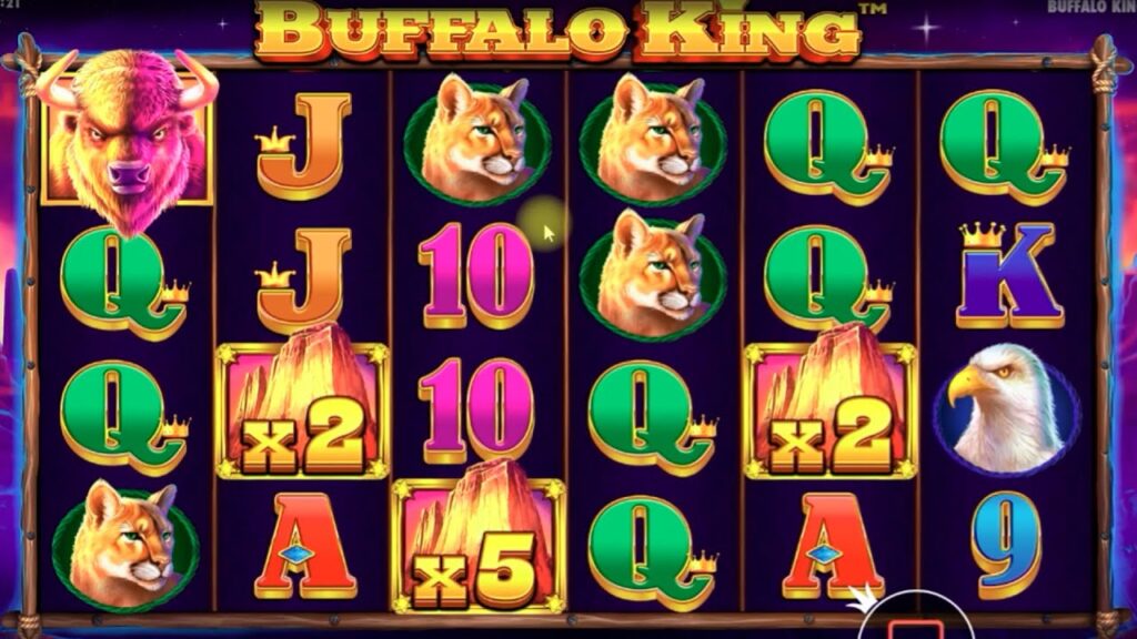 buffalo-king-3